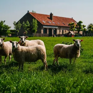 3* Hotel Hoevehotel Ter Haeghe